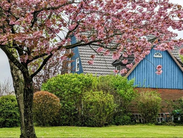 フレンスブルクCasa Azulアパートメント エクステリア 写真